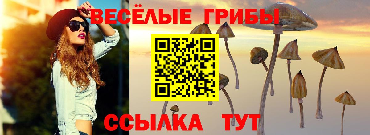 Севастополь  Псилоцибиновые грибы ЛСД  Вход с VPN 
